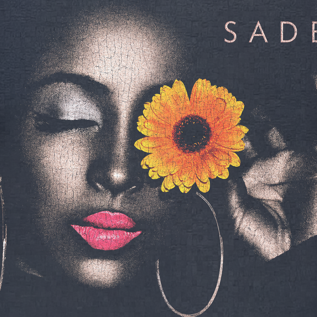 Sade Soldier of Love Tour 2011 Heavyweight Washed Black Tee – All